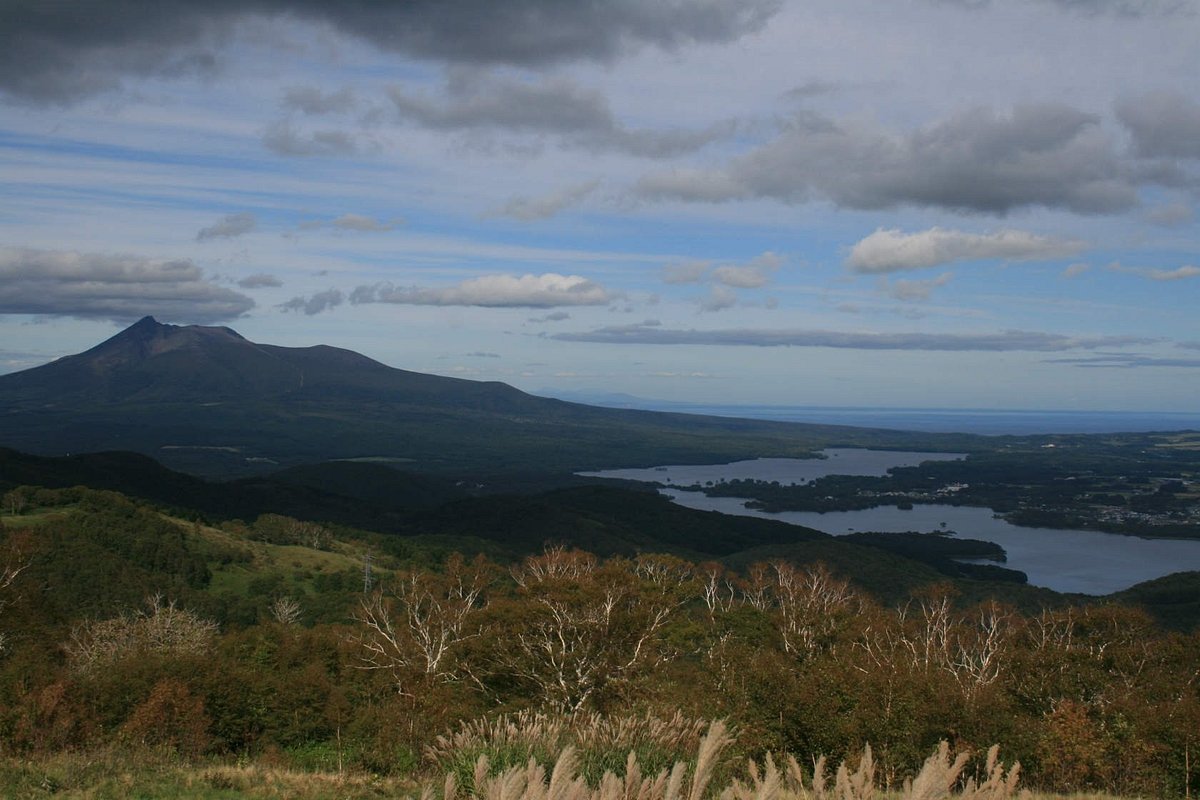 🏞️ 키지히키 고원 파노라마 전망대(키지히키코겐 파노라마 텐보다이) 이미지 3
